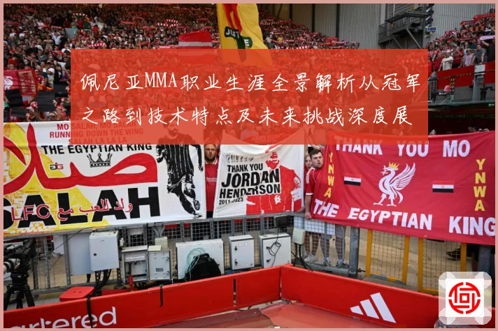 佩尼亚MMA职业生涯全景解析从冠军之路到技术特点及未来挑战深度展望